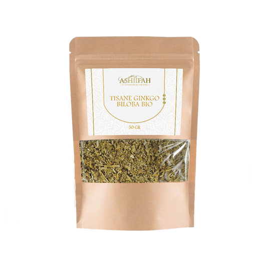 Ginkgo biloba